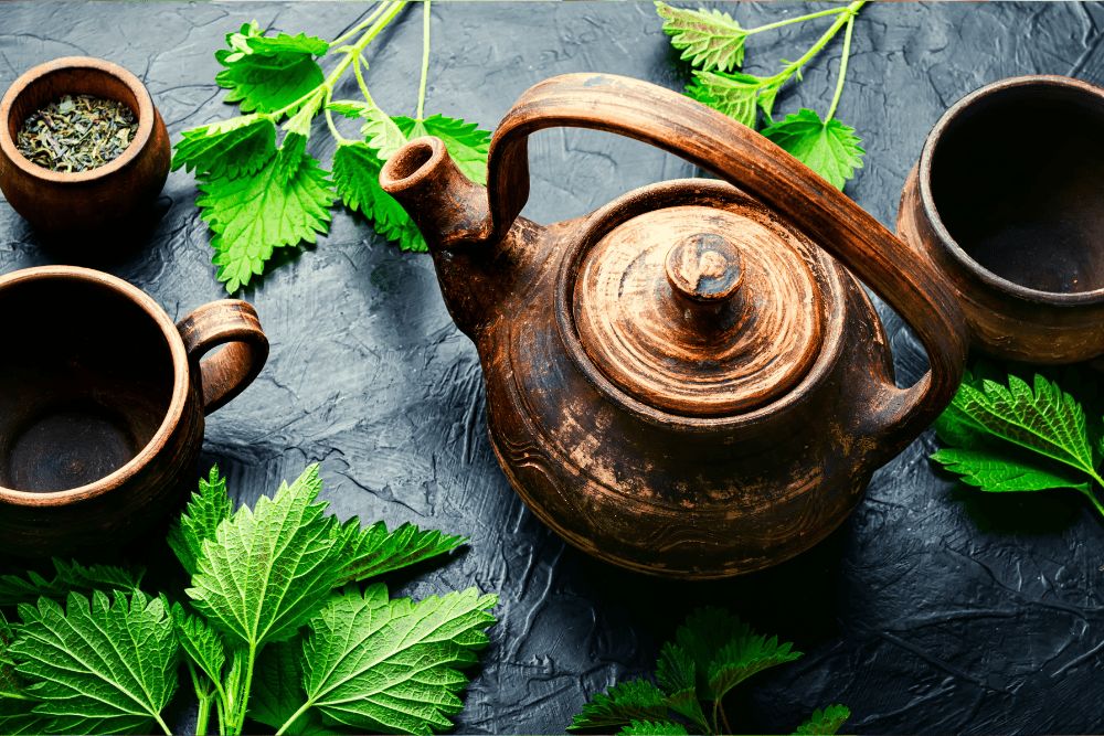 Dilgėlių arbata – turtingas gėrimas jūsų sveikatai