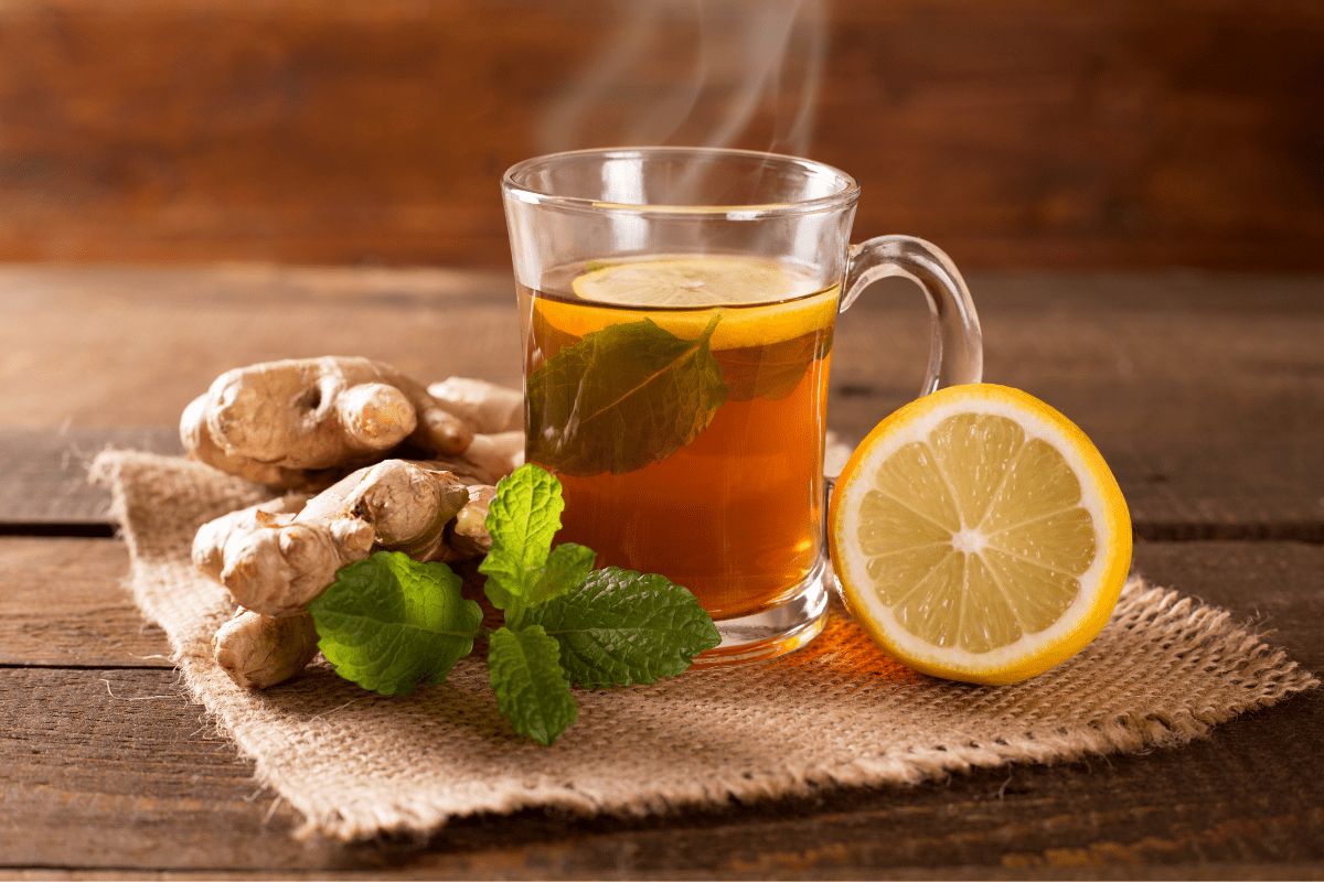 Imbiero arbata – iš sveikiausių prieskonių mūsų planetoje