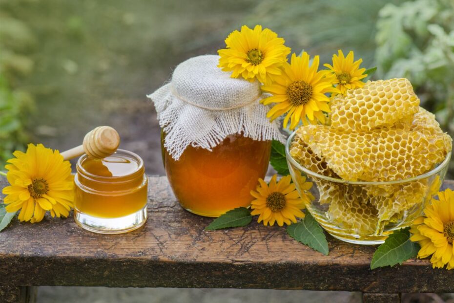 Kuo medus toks ypatingas? Kurią medaus rūšį geriau pasirinkti