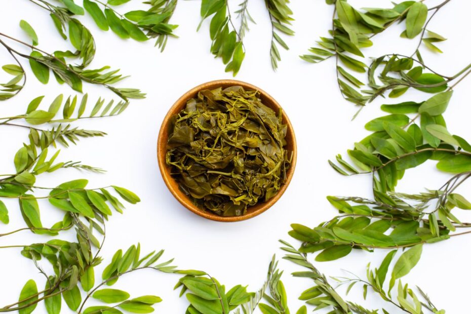 Senos lapų arbata – pirmoji pagalba nuo vidurių užkietėjimo