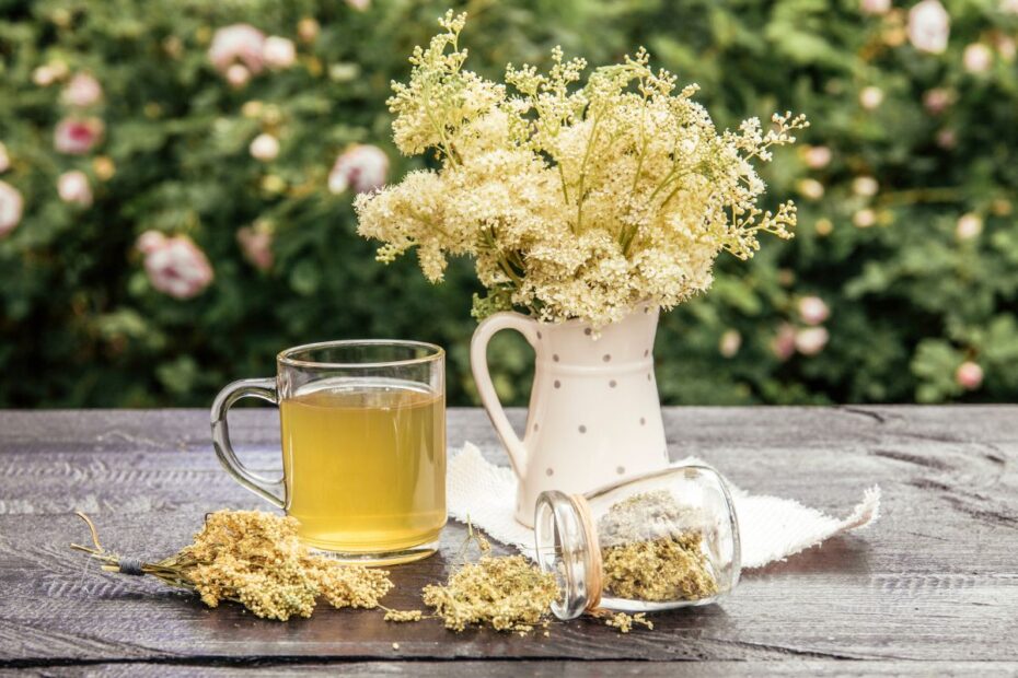 Vingiorykštės arbata – kvepia medumi ir gydo daugelį ligų