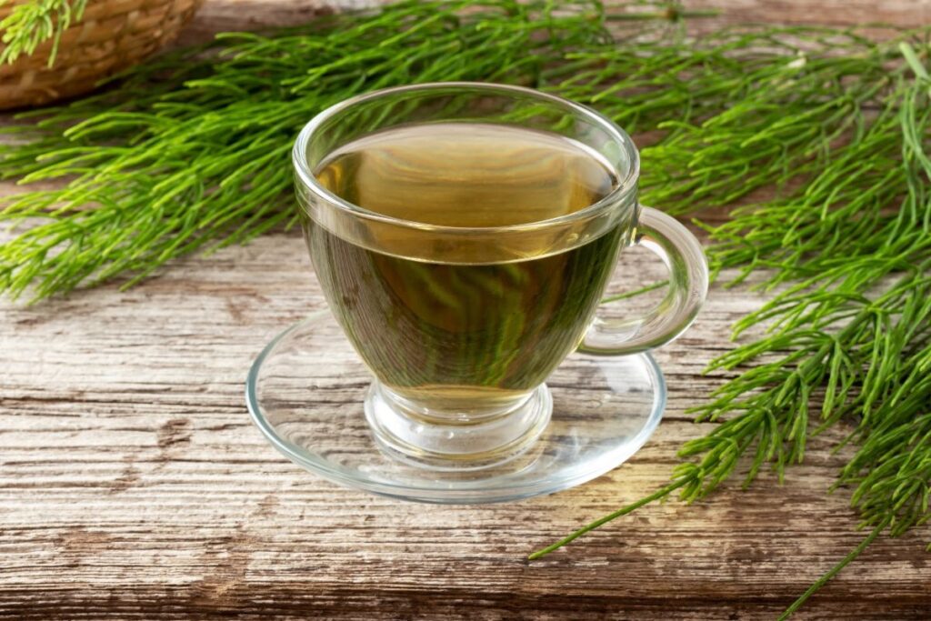 Asiūklio arbata – kaip ruošti ir vartoti?
