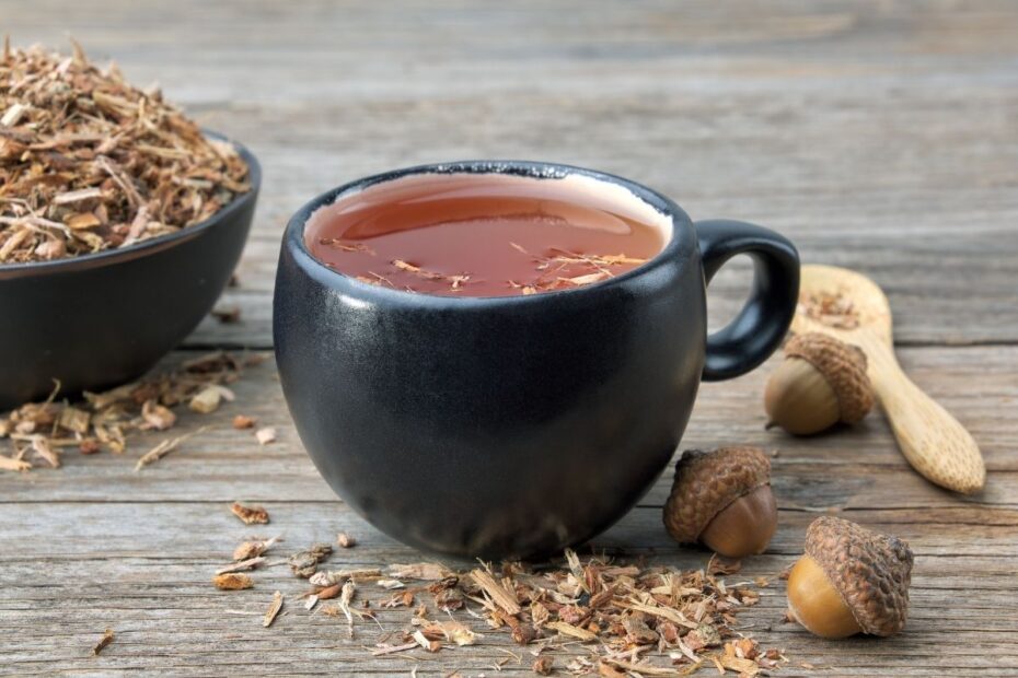Ąžuolo žievės arbata – šimtmečius skaičiuojanti liaudies medicinos priemonė ligoms gydyti