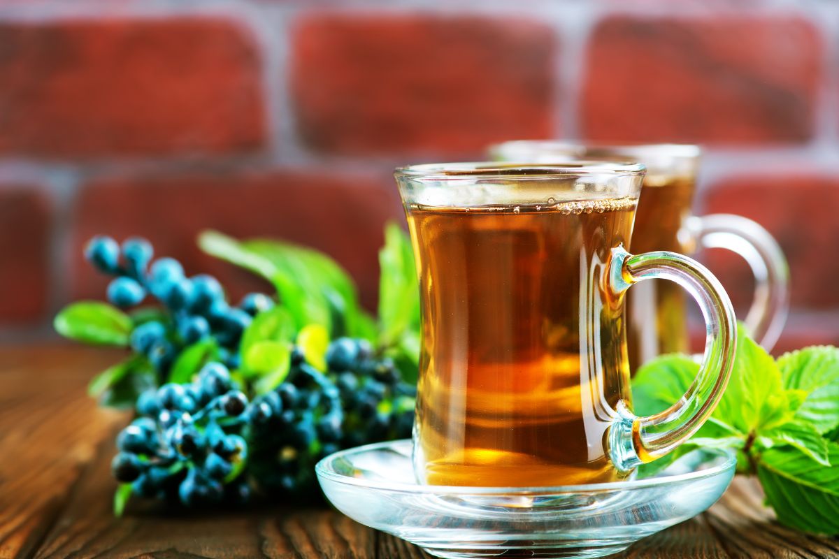 Mėlynių lapų arbata - antioksidantų šaltinis. Kaip paruošti arbatą iš mėlynių lapų, uogų bei ūglių?