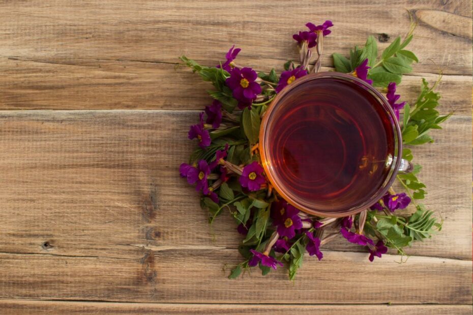 Raktažolių arbata: vaistas nuo visų kvėpavimo takų ligų