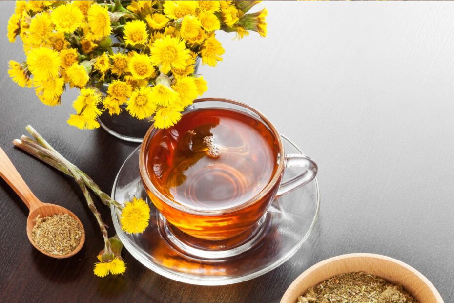 Šalpusnio arbata: vaistas kvėpavimo takų ligoms gydyti, kurį būtina vartoti saikingai