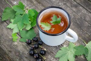 Juodųjų serbentų lapų arbata – jaunystės eliksyras. Mūsų soduose slypinti gydomoji galia