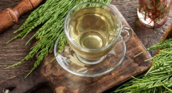 Asiūklio arbata inkstų akmenligei bei šlapimo pūslės uždegimui gydyti. Ką svarbu žinoti apie jos naudą ir šalutinį poveikį?