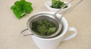 Garšvų arbata – būtinas pavasario gėrimas. Kuo ji ypatinga ir kokiomis ligomis sergant gelbsti?