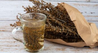 Parazitus valanti arbata rekomenduojama du kartus per metus. Kaip ruošiama ir kuri veiksmingiausia?