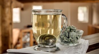 Diemedžio arbata: dievų gėrimas, turintis raminantį poveikį ir padedantis kovoti su uždegimais