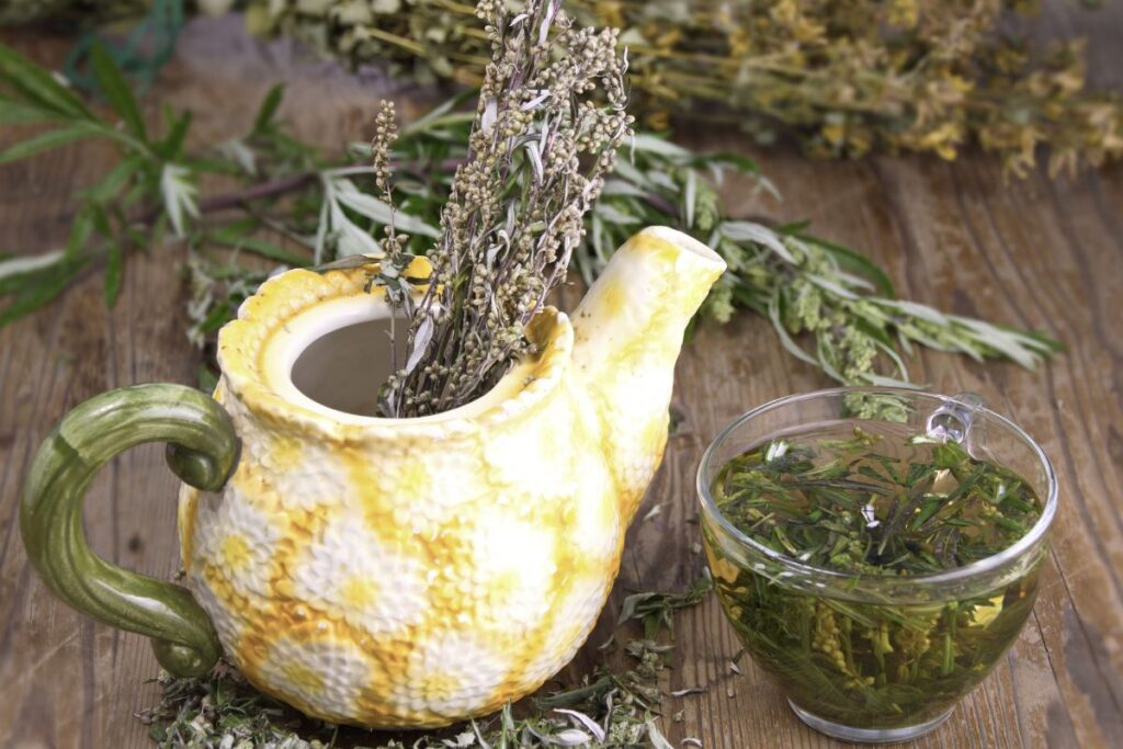 Kaip gerti pelyno arbatą profilaktiškai sveikiems žmonėms?