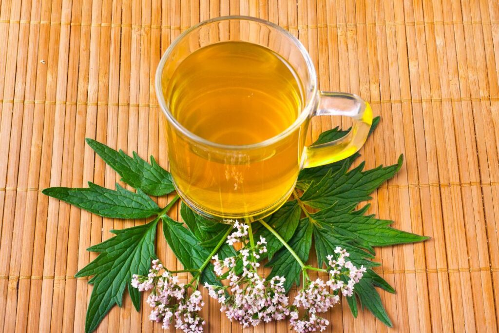 Valerijonų arbata miegui – stipriausias natūralus raminamasis