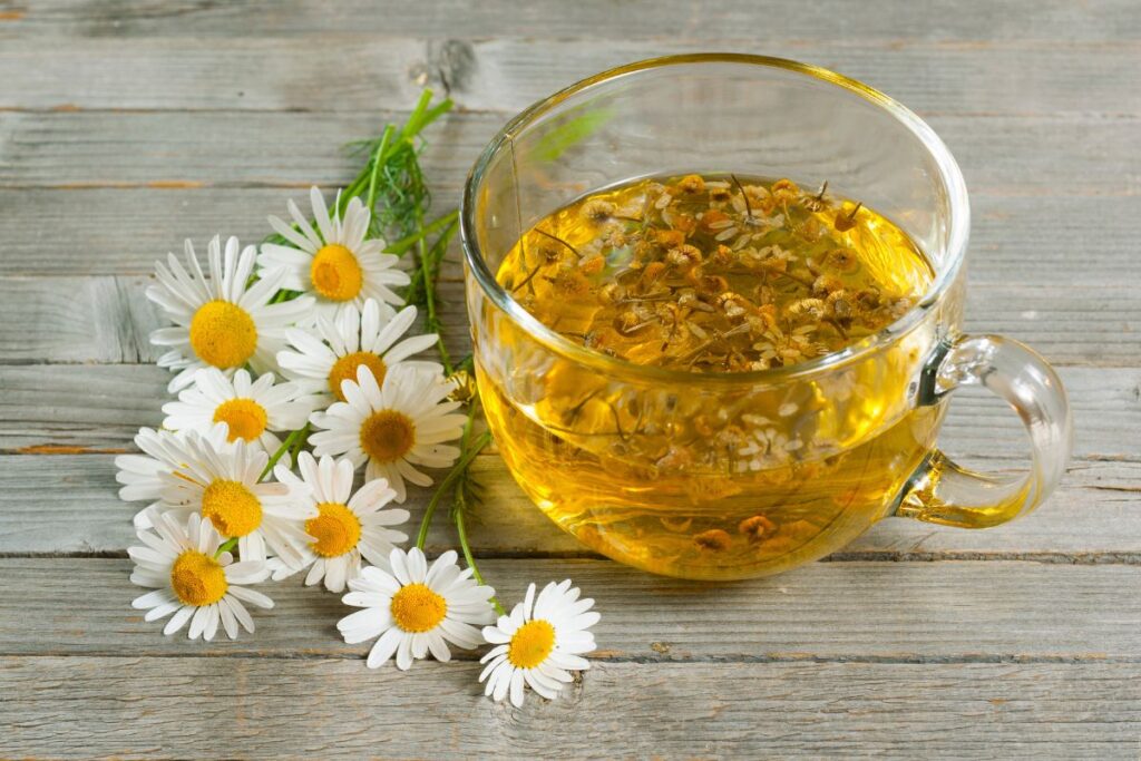 Ramunėlių arbata rūgštingumui mažinti nuo refliukso ir rėmens