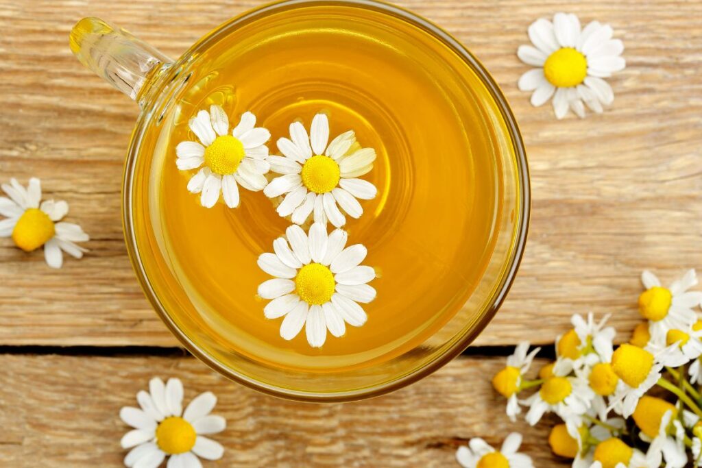 Ramunėlių arbata skrandžiui: kada gerti ir kiek laiko vartoti?