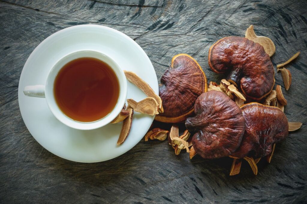 Reishi grybų arbata